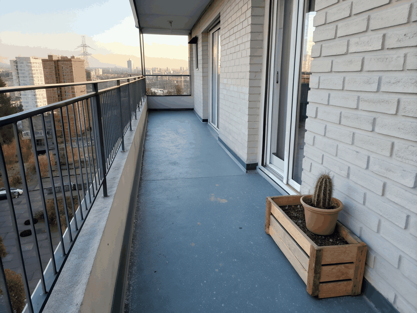 Vertical sugar snap peas for apartment railings